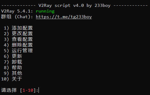 V2Ray搭建详细图文教程插图13 V2Ray搭建详细图文教程